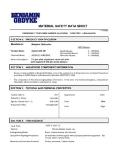 HydroFlash GP_MSDS 04012025